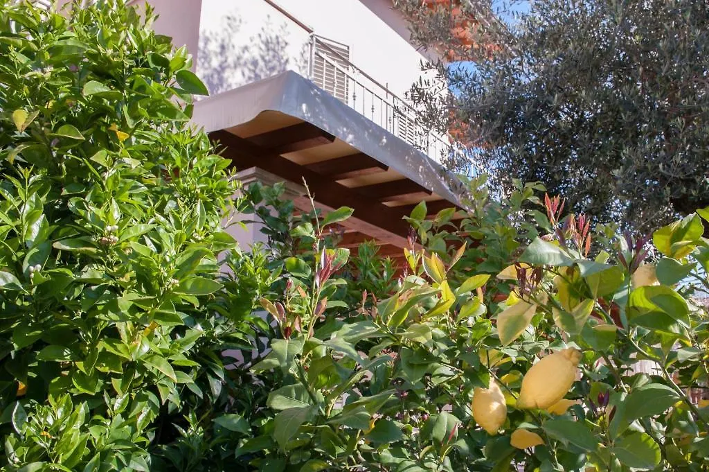 B&B Alle Tre Rose Montignoso Bed & Breakfast